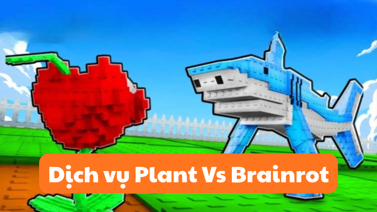 DỊCH VỤ PLANT VS BRAINROT